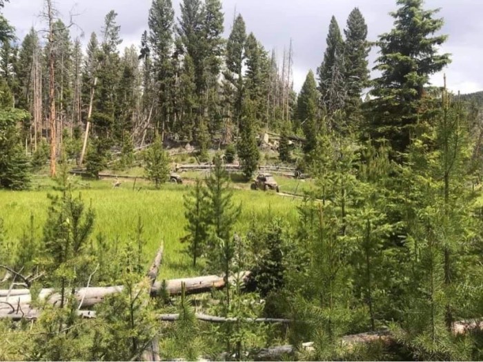 Pipestone Rentals & Adventures