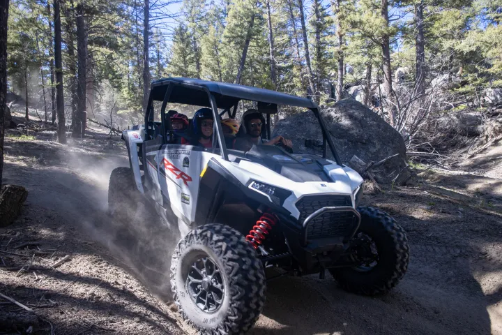 a tractor in a forest