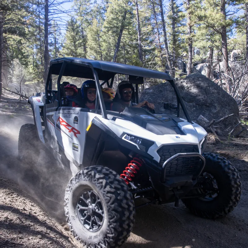 a tractor in a forest