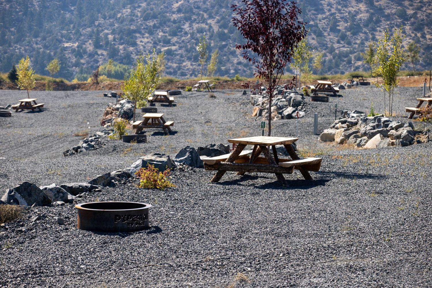 Gravel area with picnic tables, fire pits, and trees in a mountainous setting.